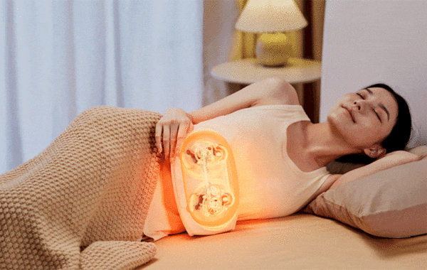 Máy Massage Lưng Breo P3