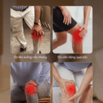 Máy Massage Đầu Gối Breo X2