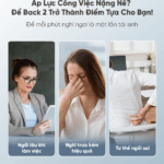 Gối Massage Lưng & Thắt Lưng Breo Back 2