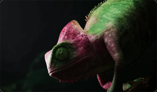 Tivi Xiaomi Smart Display Max 85 inch 2025 4K QLED – Bản Quốc Tế