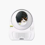 Máy vệ sinh cho mèo tự động CATLINK Young