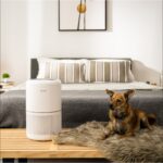 Máy Lọc Không Khí Levoit Core 300S