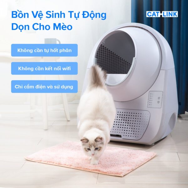 Máy vệ sinh cho mèo tự động CATLINK Young